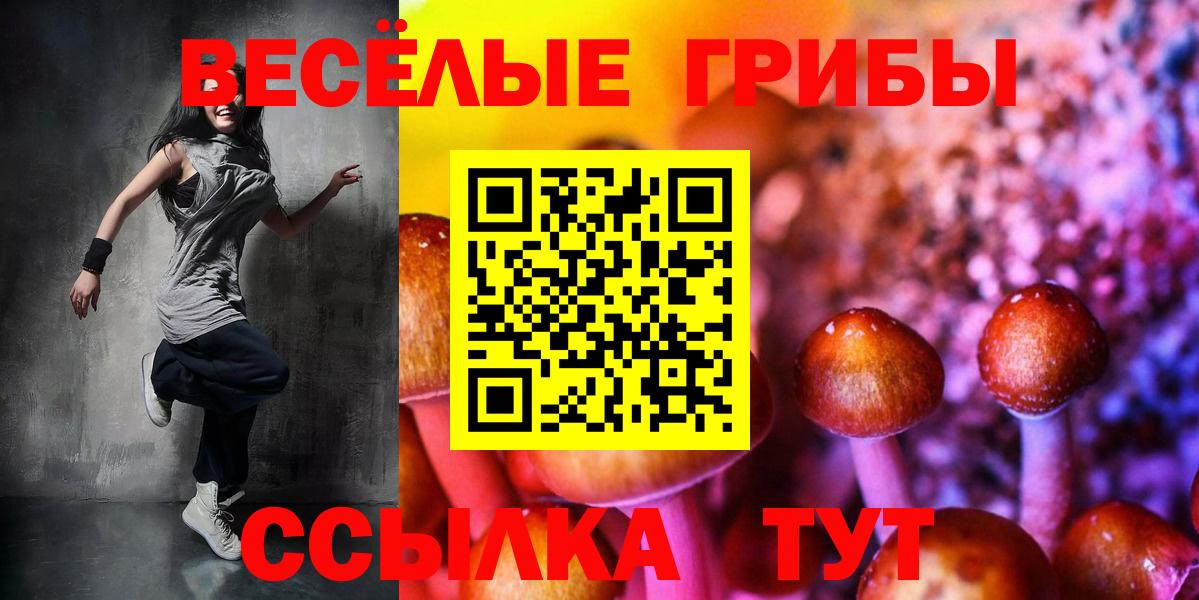 Каменск-Шахтинский  Псилоцибиновые грибы Psilocybe  Галлюциногенные грибы Psilocybe  Вход с VPN 