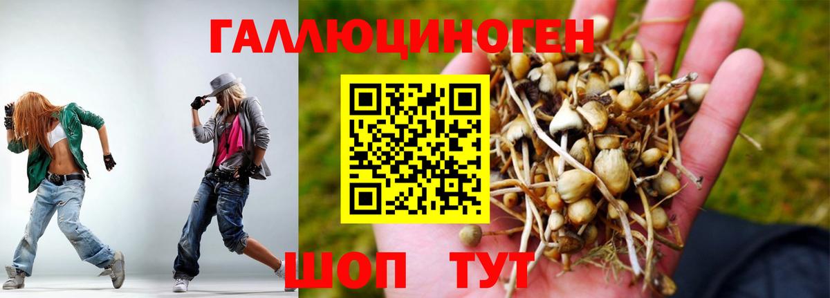 Галлюциногенные грибы ЛСД Каменск-Шахтинский